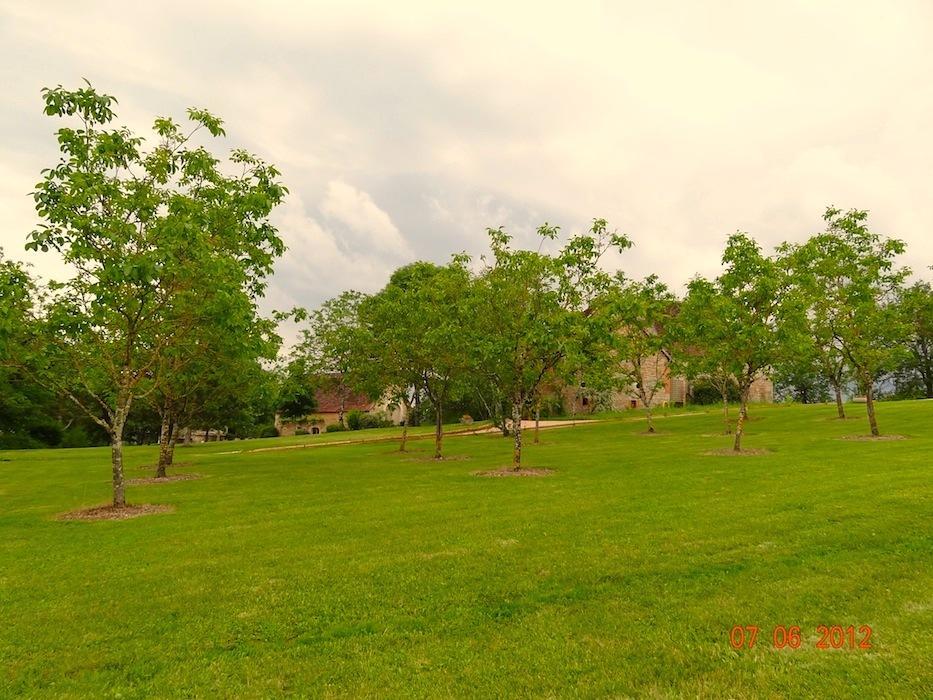 Mas Del Lum Bed & Breakfast Boussac  Dış mekan fotoğraf