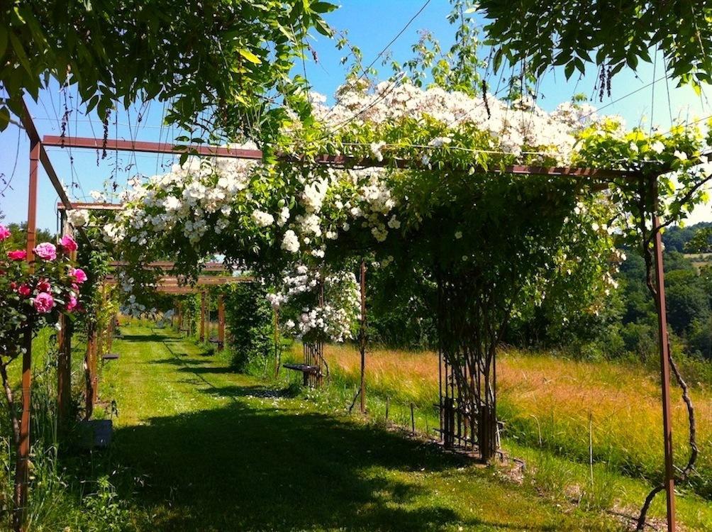 Mas Del Lum Bed & Breakfast Boussac  Dış mekan fotoğraf